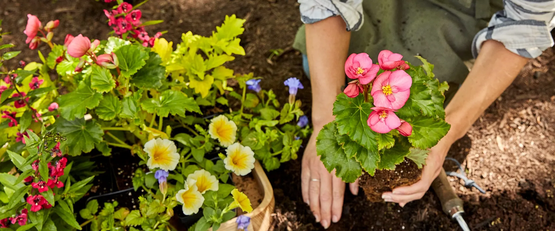 Vegetable Gardening